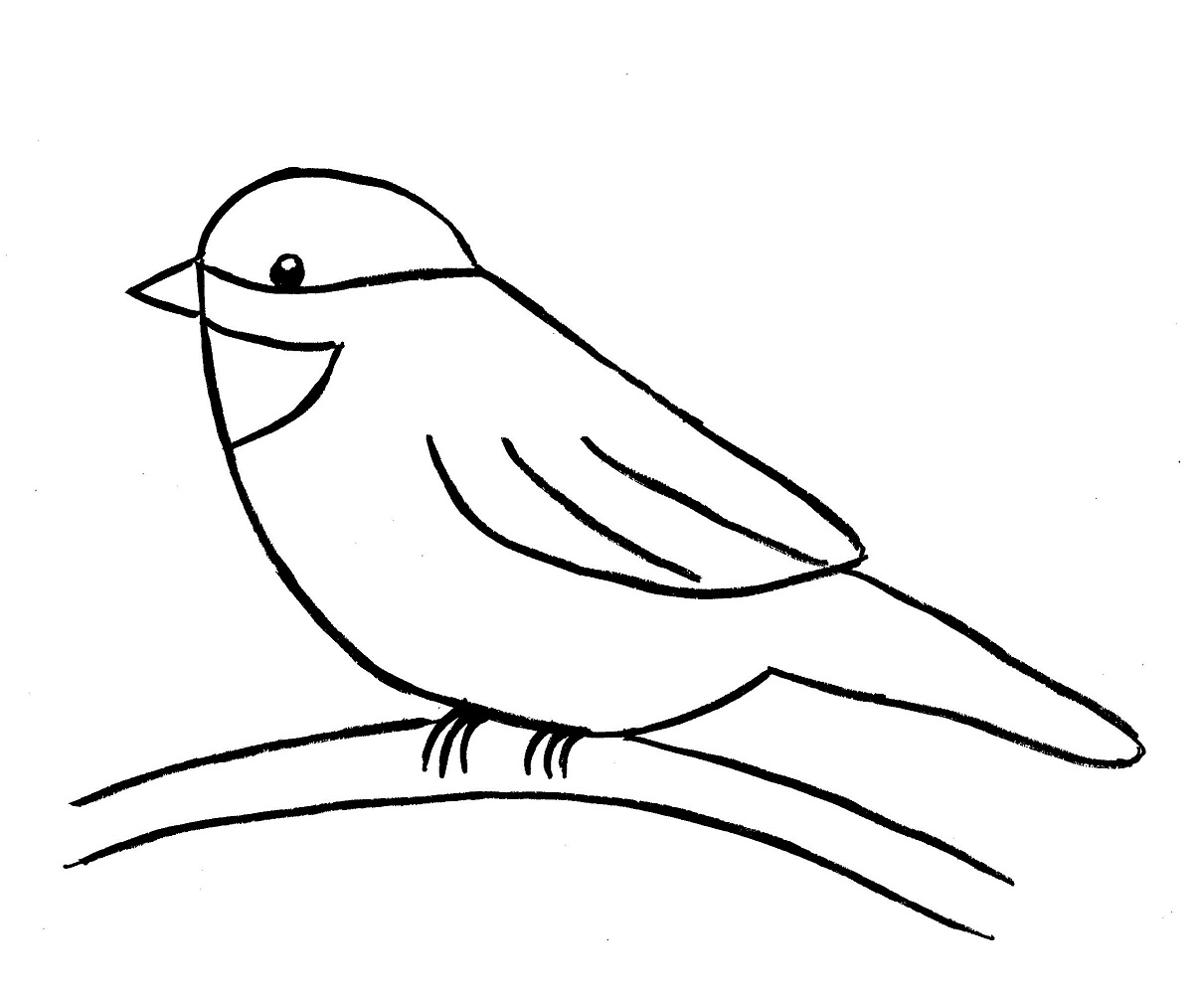 Chickadee Drawing Step by Step - Samantha Bell