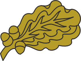 Bronze-Oak-Leaf-Cluster.png