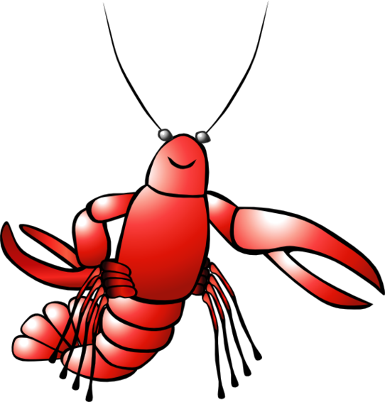 Crawfish Drawing Clipart - Free to use Clip Art Resource