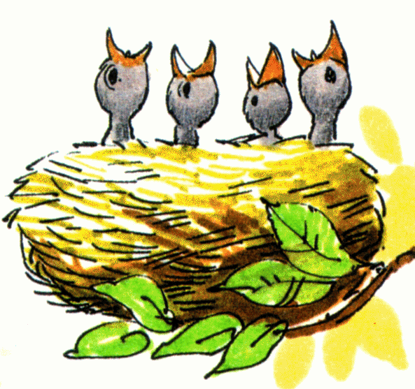 Birds Nest With Eggs Clipart