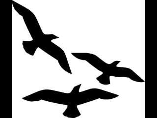 Birds Flying Picture | Free Download Clip Art | Free Clip Art | on ...