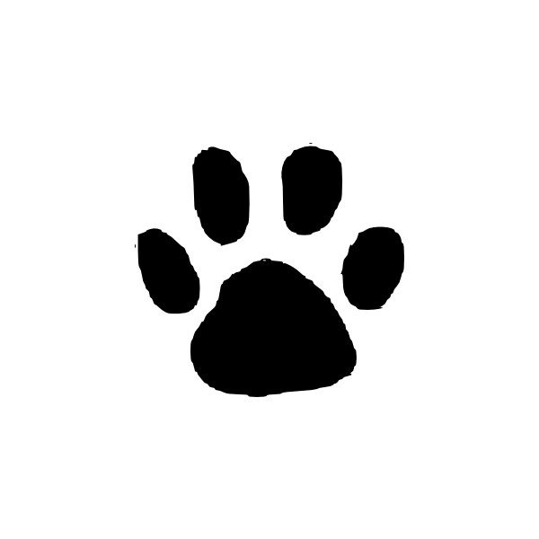 Animal Footprint clip art - Polyvore