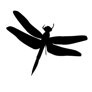 Outline Of A Dragonfly - ClipArt Best