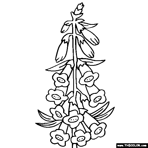 Flower Coloring Pages | Color Flowers Online | Page 1