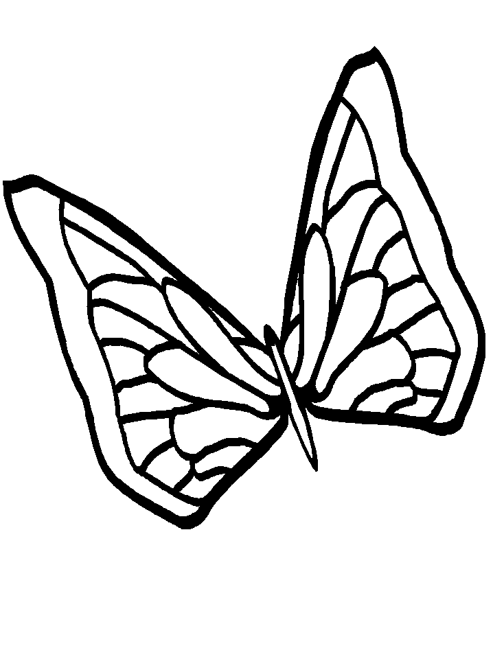 Butterfly Drawing Template - ClipArt Best