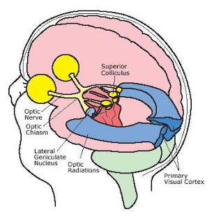 Circuit Brain: August 2012