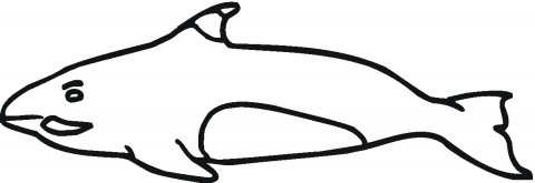 Dolphins coloring pages | Super Coloring