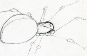 How to Draw a Black Widow Spider, Step by Step, Bugs, Animals ...