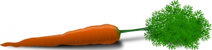 carrot-clip-art.jpg