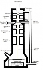 DIAGRAM OF ELECTRON MICROSCOPE Â« Optics & Binoculars