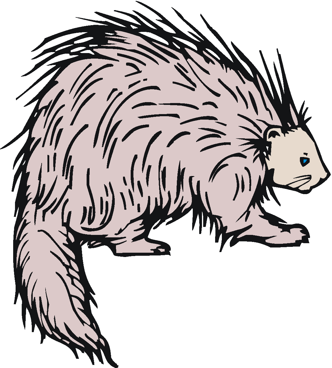 Porcupine Clip Art Free - Free Clipart Images