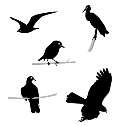 Free Bird Vector | Free Download Clip Art | Free Clip Art | on ...