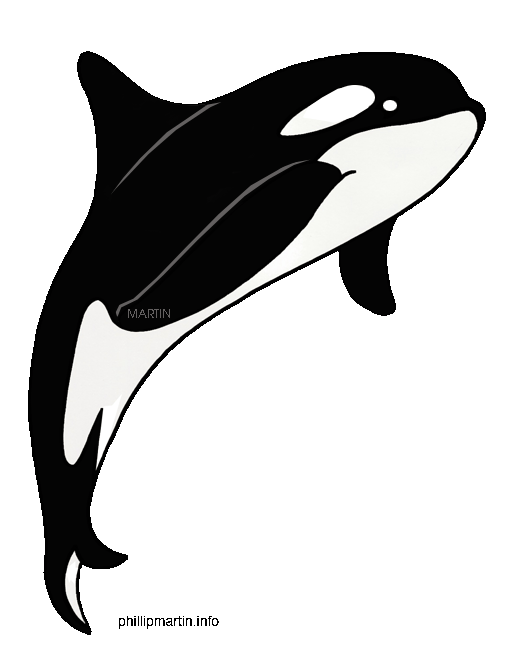 Orca Cartoon - ClipArt Best