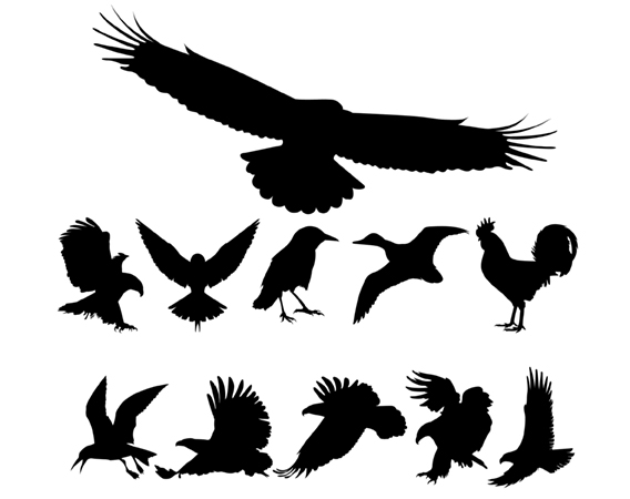 Birds Silhouette Vector Graphics Free And Art Design