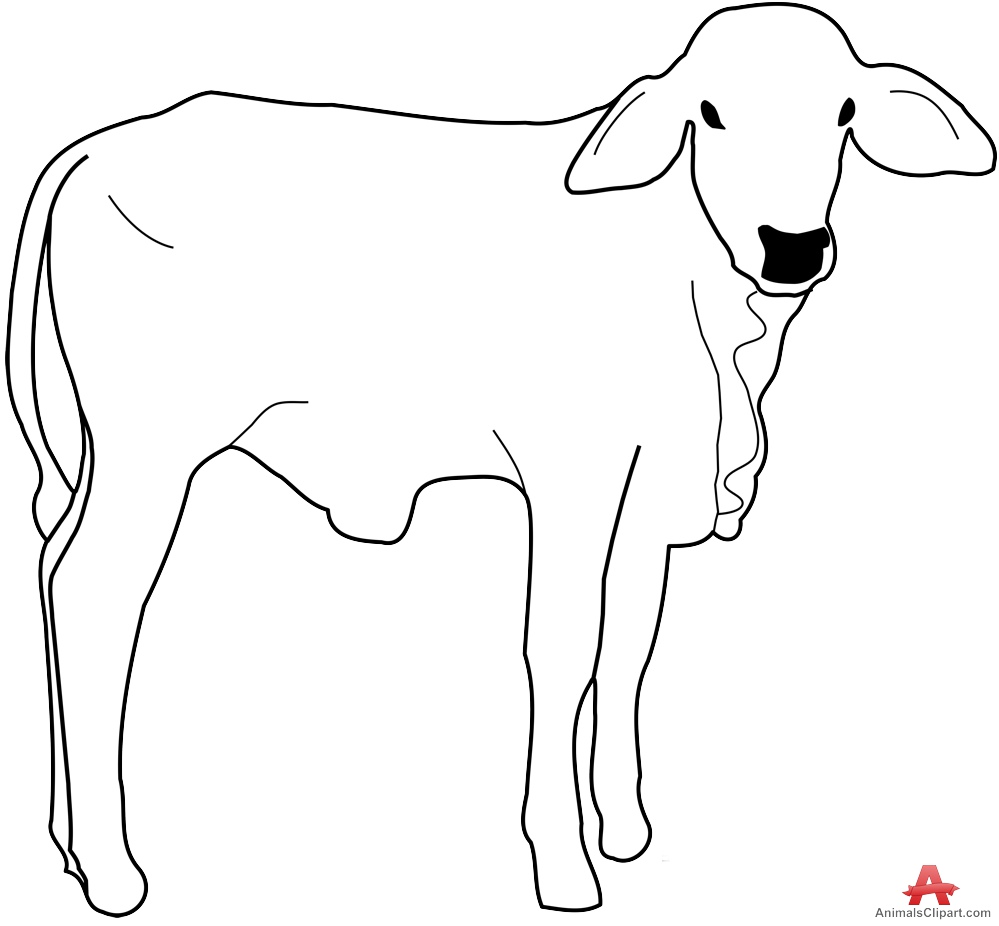 Cow Calf Outline Drawing Clipart | Free Clipart Design Download