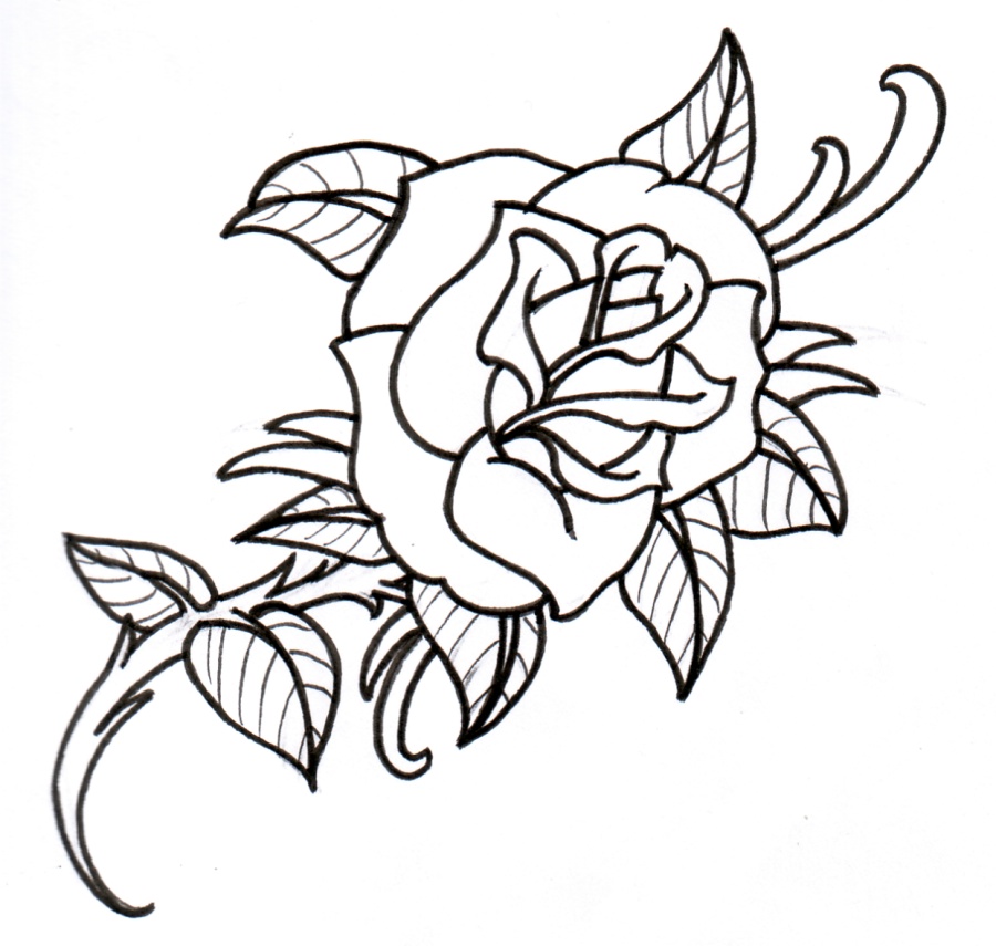rose tattoo outline