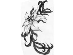 Pencil drawings, Drawings of flowers and Vines