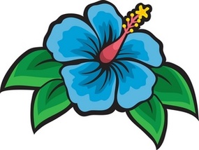 Cartoon Hibiscus Flower Clipart - Free to use Clip Art Resource