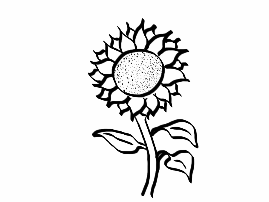 Sunflower Line Art | Free Download Clip Art | Free Clip Art | on ...