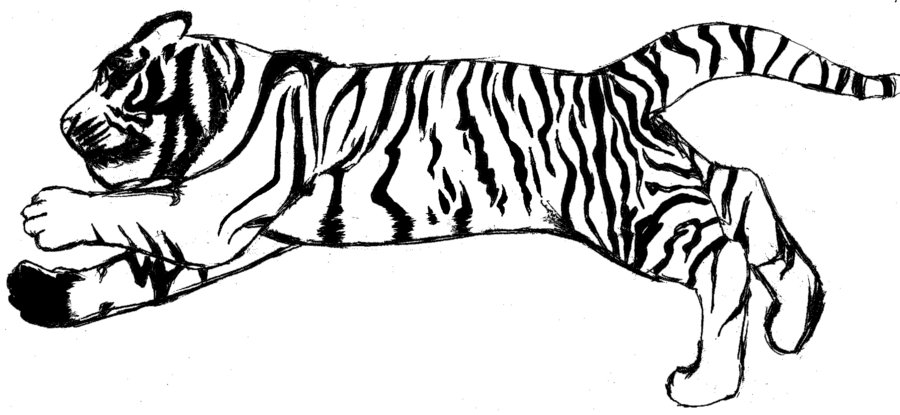 Tiger Clipart Black and White craft projects, Black and White ...