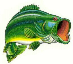 Free clip art bass fish