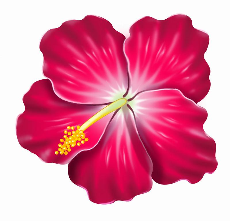 Beach Flower Clipart - ClipArt Best