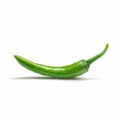 Green Chilli - Suppliers, Wholesalers & Traders in India