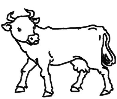 Cow outline clipart