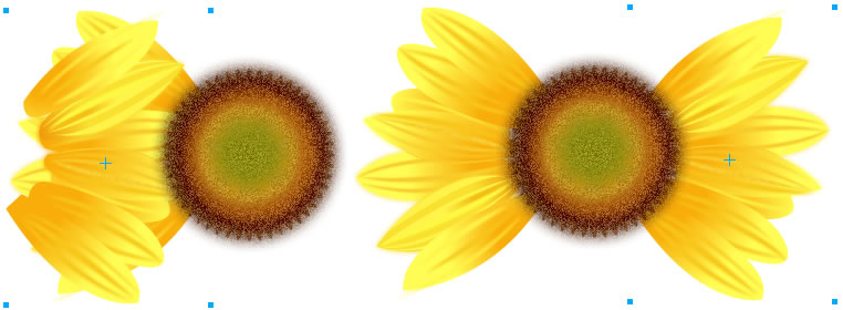 Sunflower Painting