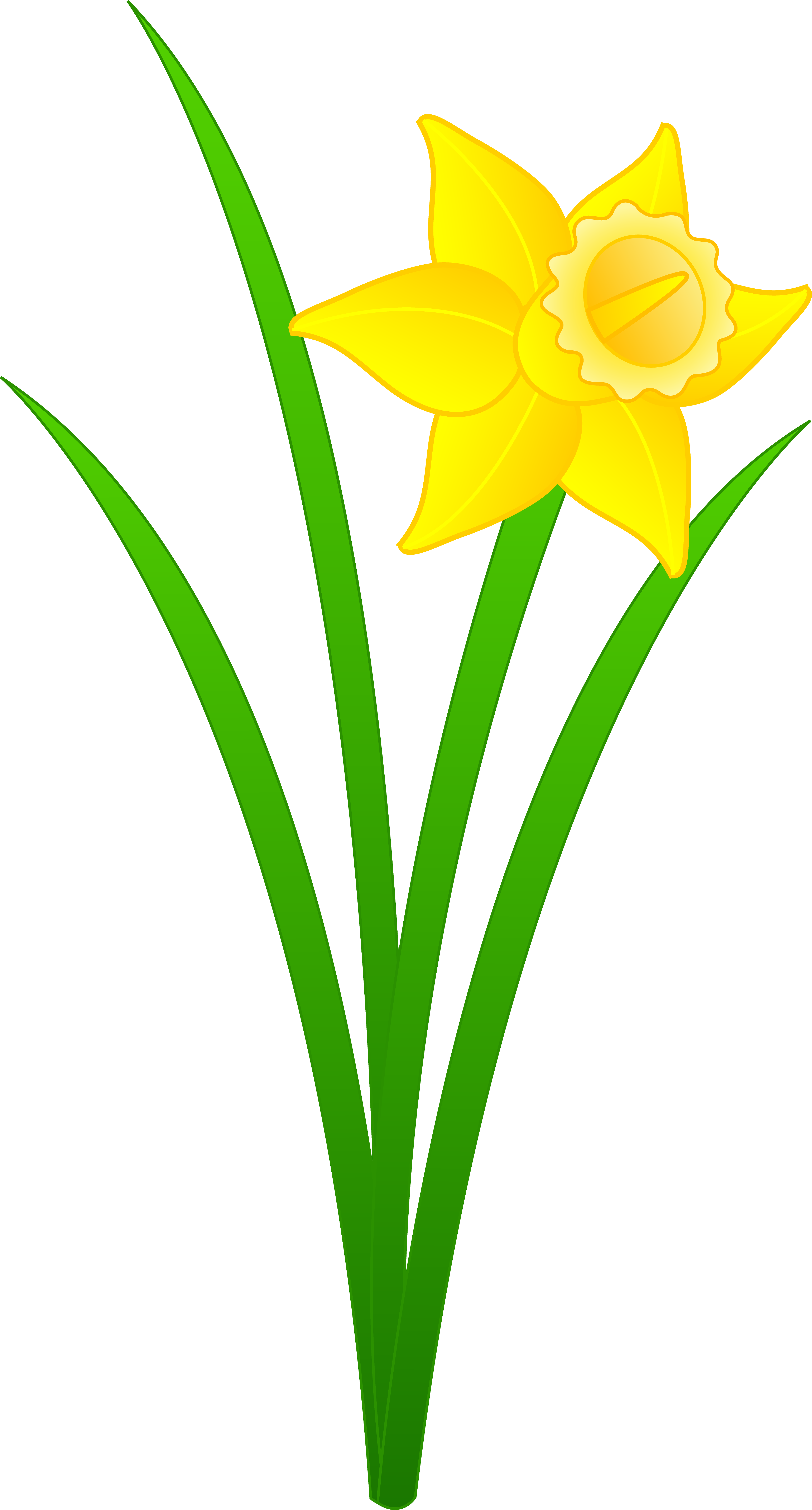 13 Daffodil Free Graphics Images - Free Clip Art Daffodils Flower ...