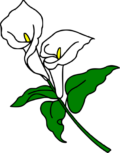 Lily free flower clipart image #26853