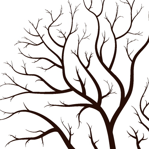 Picture Of A Tree With Branches