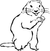 Clip Art Groundhog - ClipArt Best