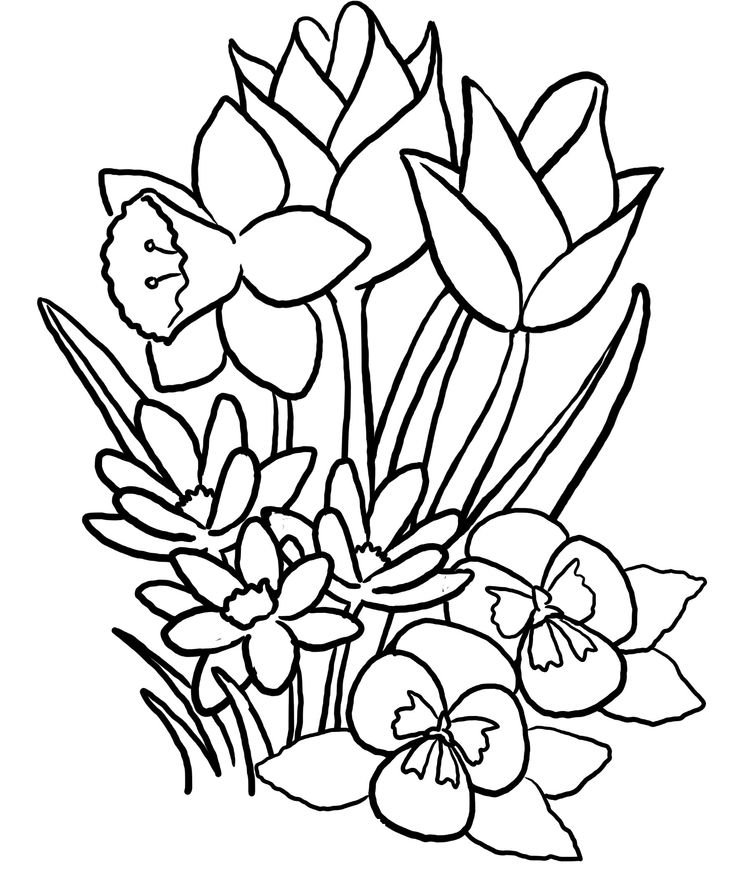 Spring Flower Coloring Pages 35 Flower Coloring Pages Coloringstar ...