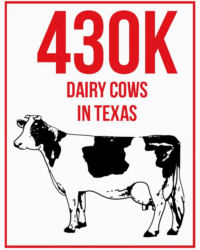 Becoming Texan: Texas, You Got Milk?