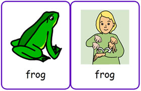 Widgit Symbol Resources - BSL Minibeasts