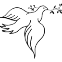 Dove With Olive Branch Animation Pictures, Images & Photos ...