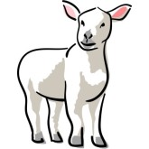 Lamb Clip Art Clip Art, Baby Clipart and Baby Graphics ...