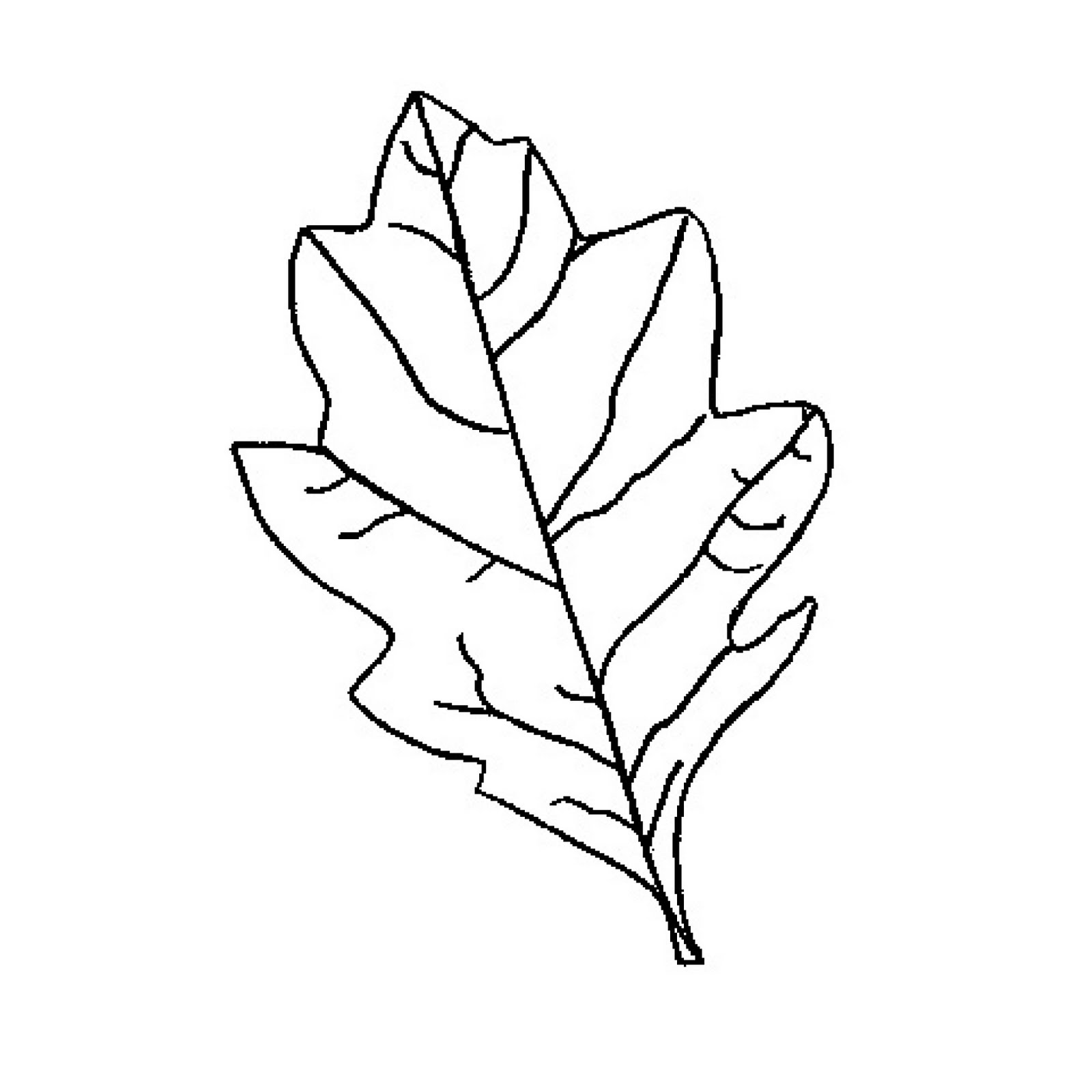 Oak Leaf Template