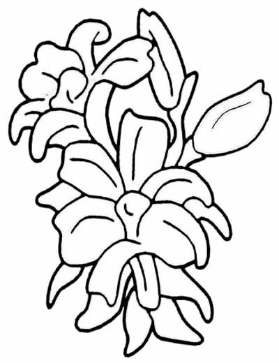 Beautiful Flower Coloring Pages With Delicate Forms of Natural ...