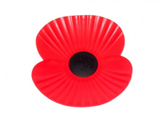 2013 REMEMBRANCE DAY—Royal British Legion Annual Poppy Appeal ...