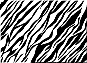 black-and-white-zebra-print- ...