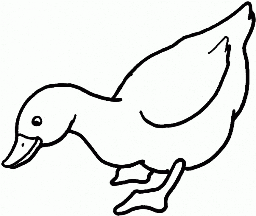 Duck Template Preschool ClipArt Best