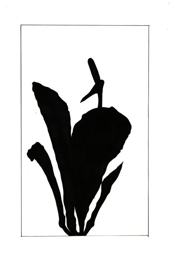 Flamingo Flower Silhouettes by Joe Mallonee at Coroflot.