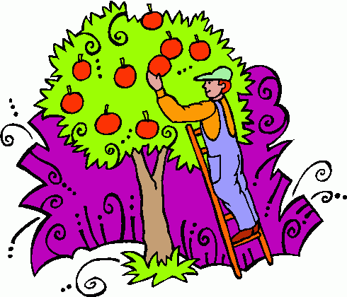 apple_harvest clipart - apple_harvest clip art