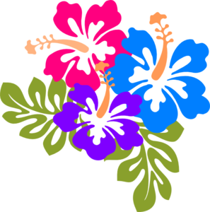 Hibiscus Drawings - ClipArt Best