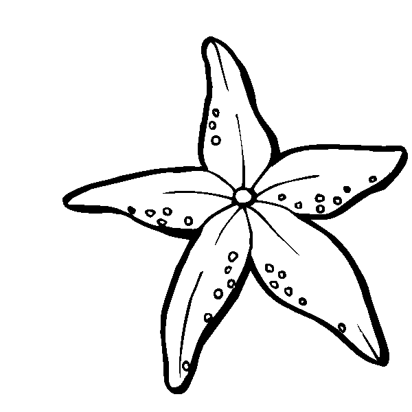 Starfish drawings |coloring pages for adults, coloring pages for ...