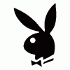 Bunny_4bcd4d0f65937-100x100.gif