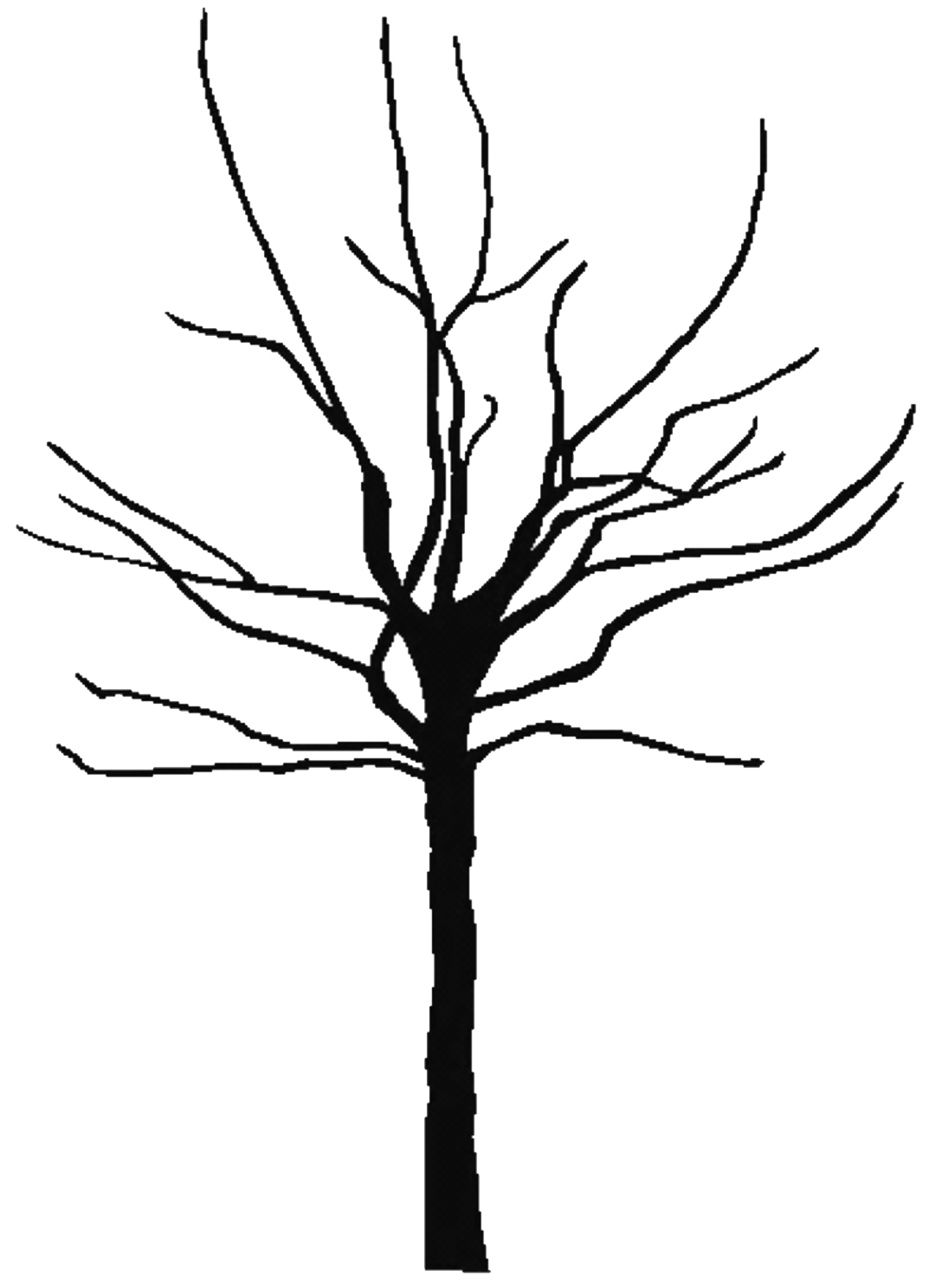 Leafless Tree Outline Printable | Free Download Clip Art | Free ...