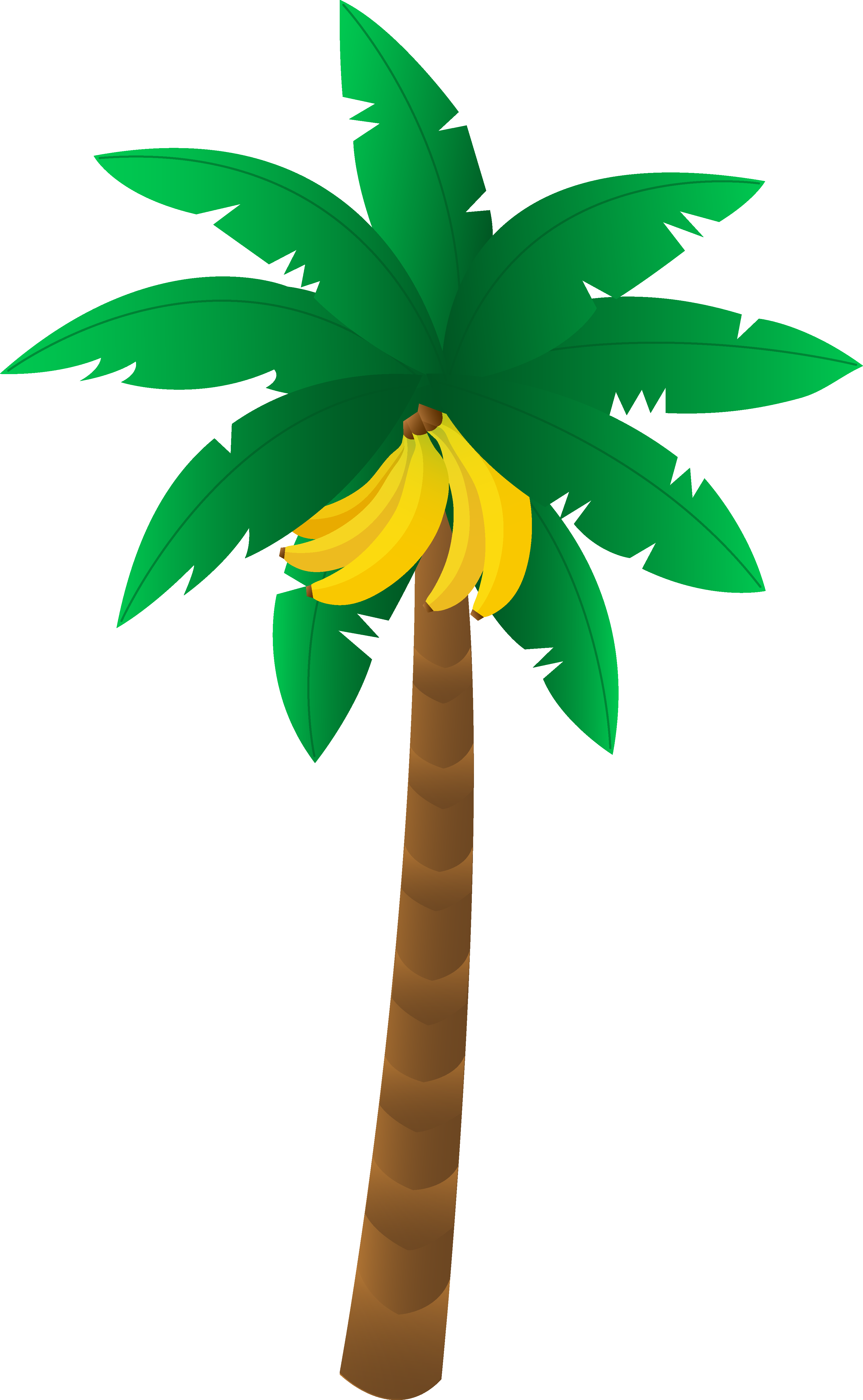 Clipart banana tree